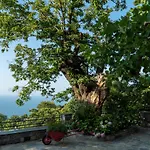 Villa Helene Eco Luxury