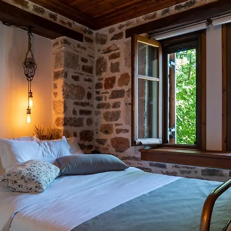 Helene Eco Luxury Vilă Tsagarada