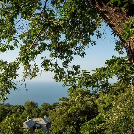 Helene Eco Luxury Vilă Tsagarada