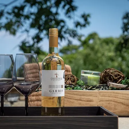 Helene Eco Luxury Βίλα *