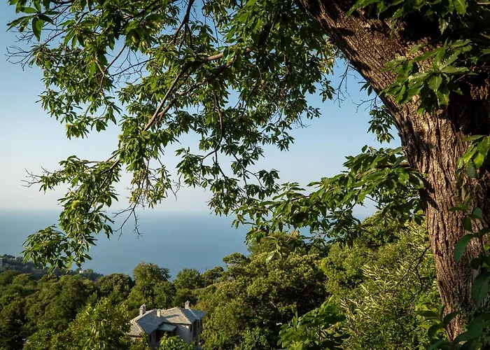 Helene Eco Luxury Villa Tsagarada