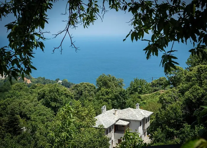 Villa Helene Eco Luxury Tsagarada