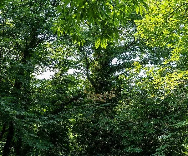 Helene Eco Luxury * Tsagarada